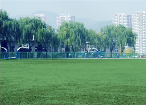 青島滿天星職業(yè)培訓(xùn)學(xué)校怎么樣？